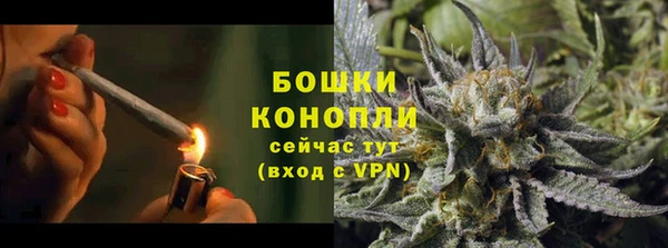 амф Арсеньев