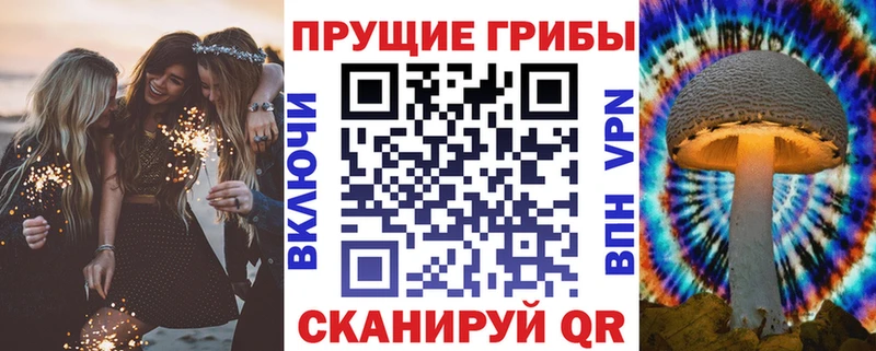 mega ONION  Рубцовск  Псилоцибиновые грибы мухоморы 
