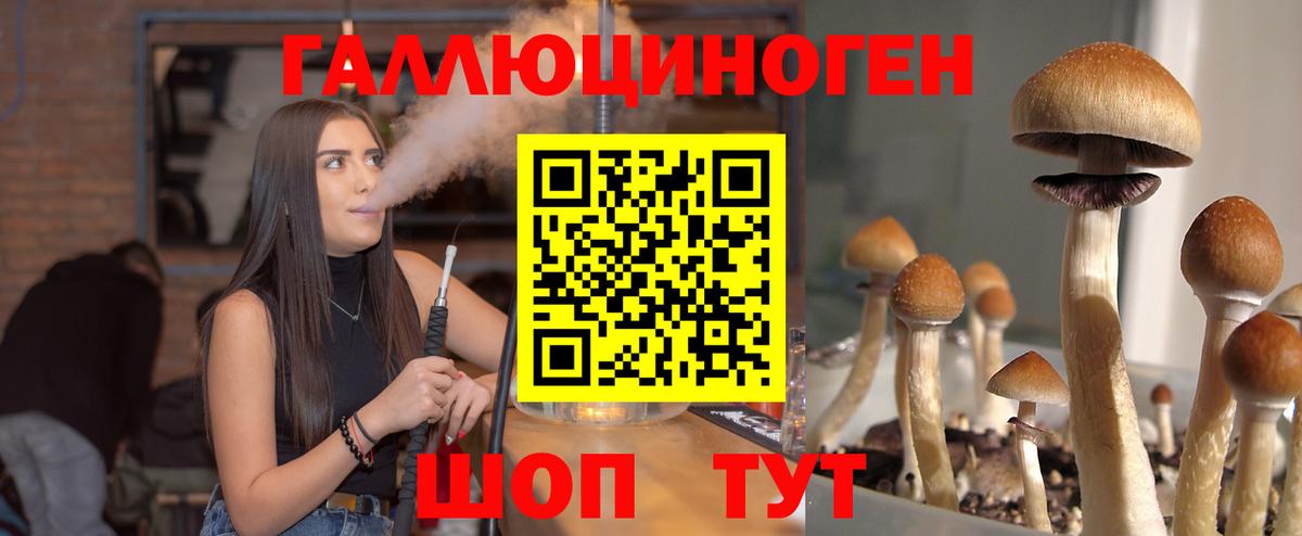 Рубцовск  Галлюциногенные грибы Magic Shrooms  Вход с VPN  Псилоцибиновые грибы ЛСД 
